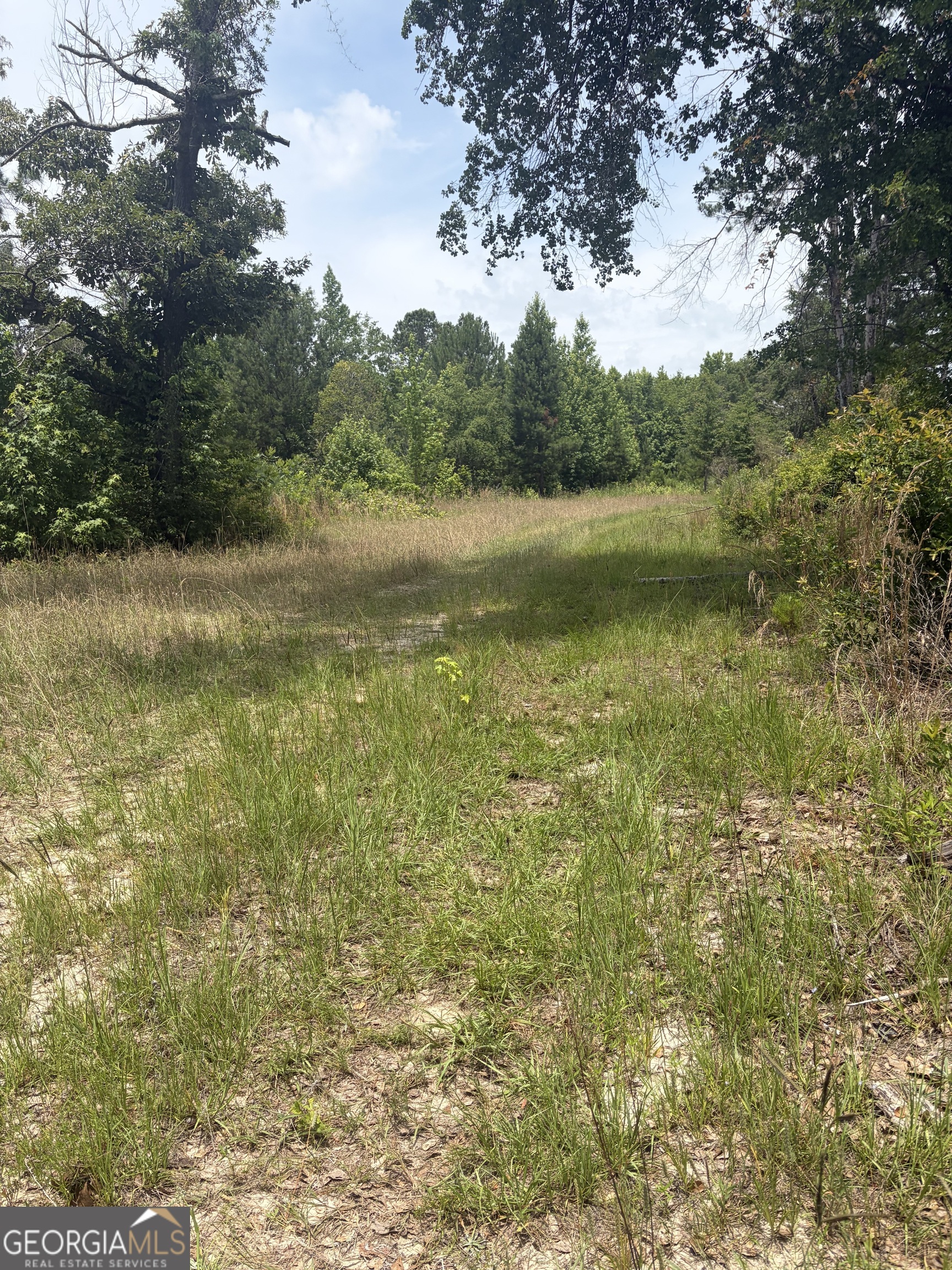 8 Sunhill Grange Road Davisboro GA 31018
