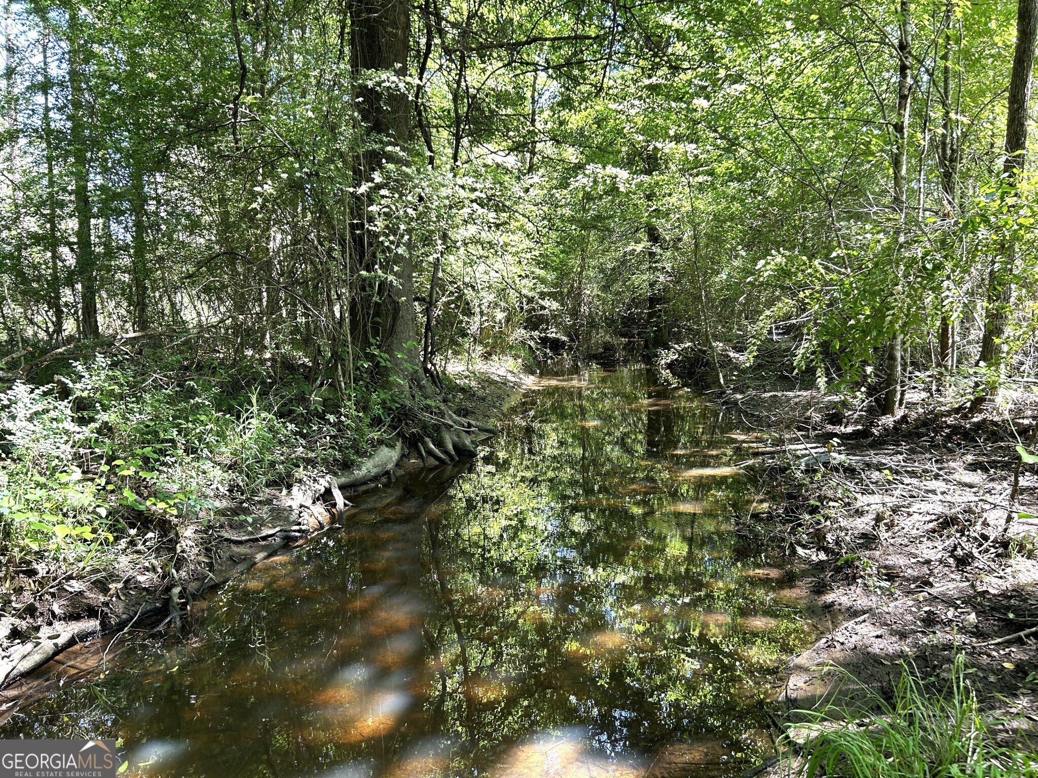 0 Dewey Thomas Road Dexter GA 31019