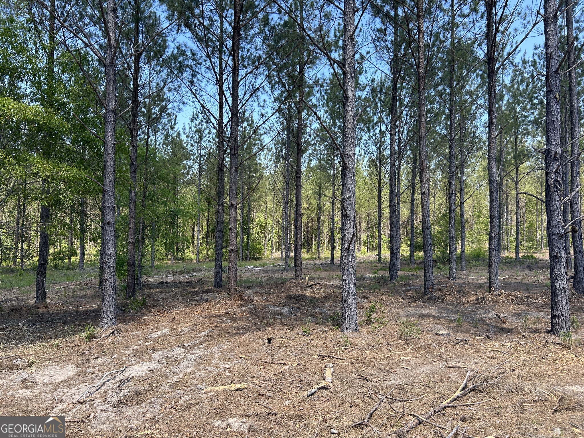 0 Dewey Thomas Road Dexter GA 31019