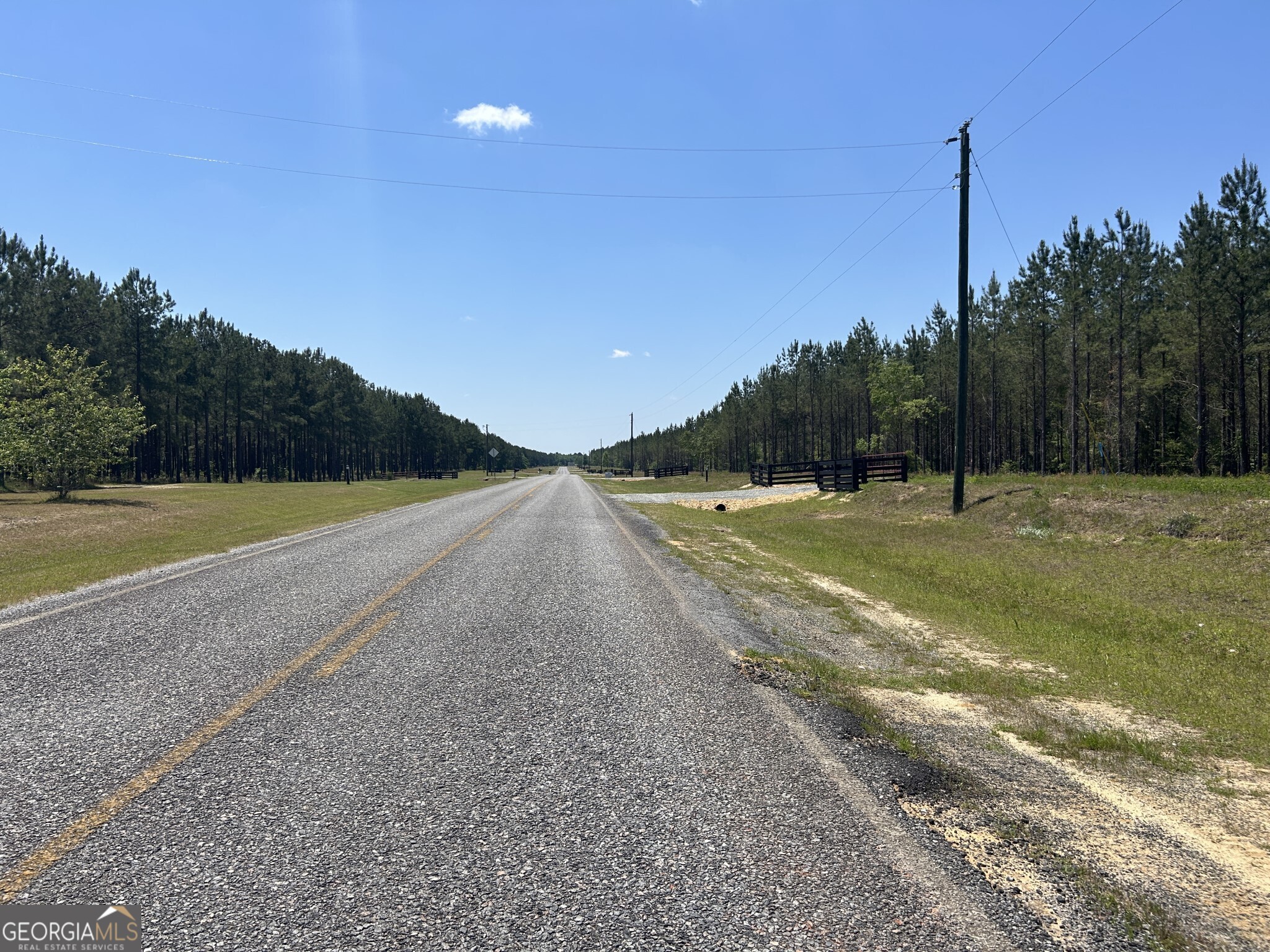 0 Dewey Thomas Road Dexter GA 31019