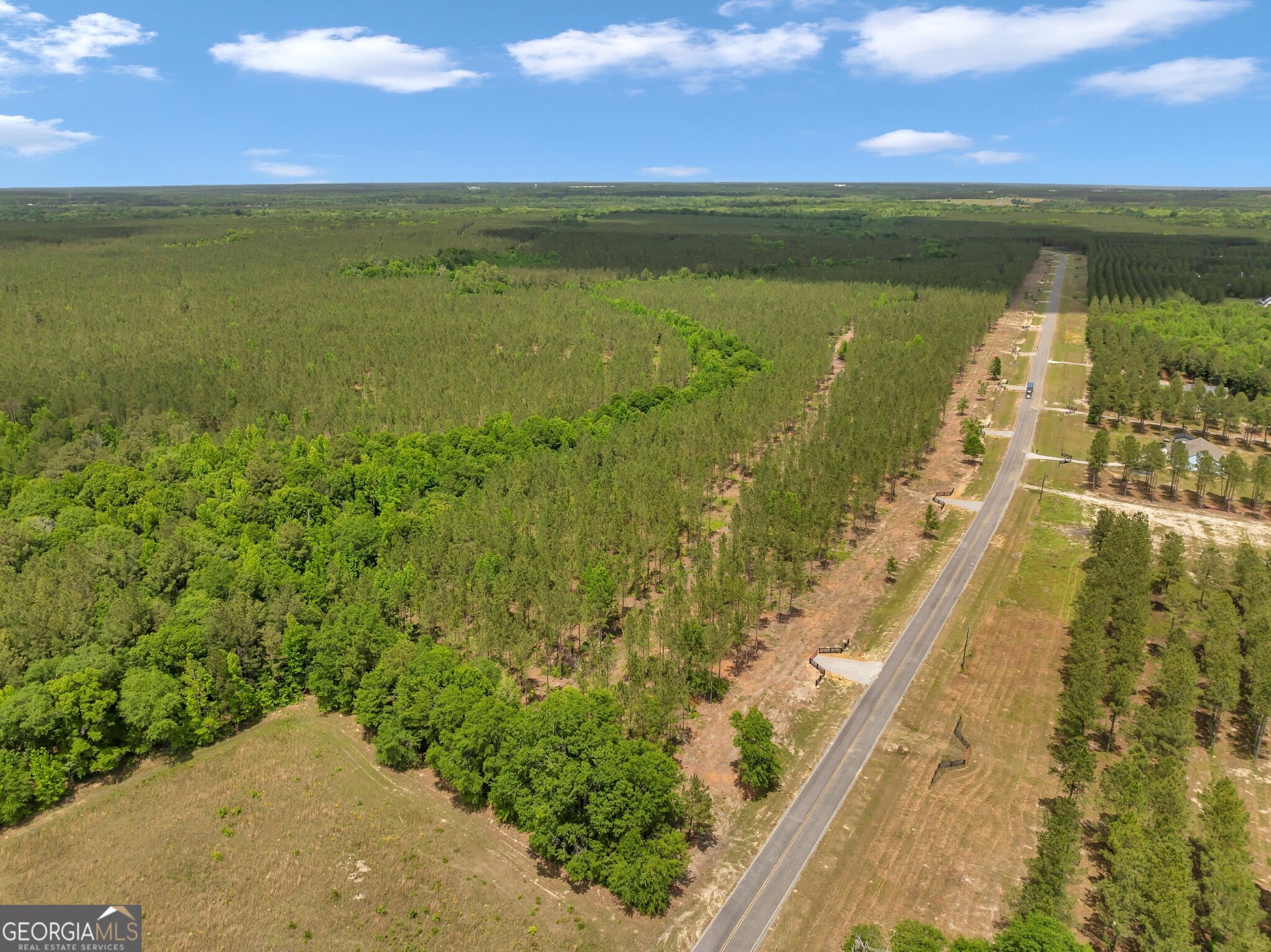 0 Dewey Thomas Road Dexter GA 31019