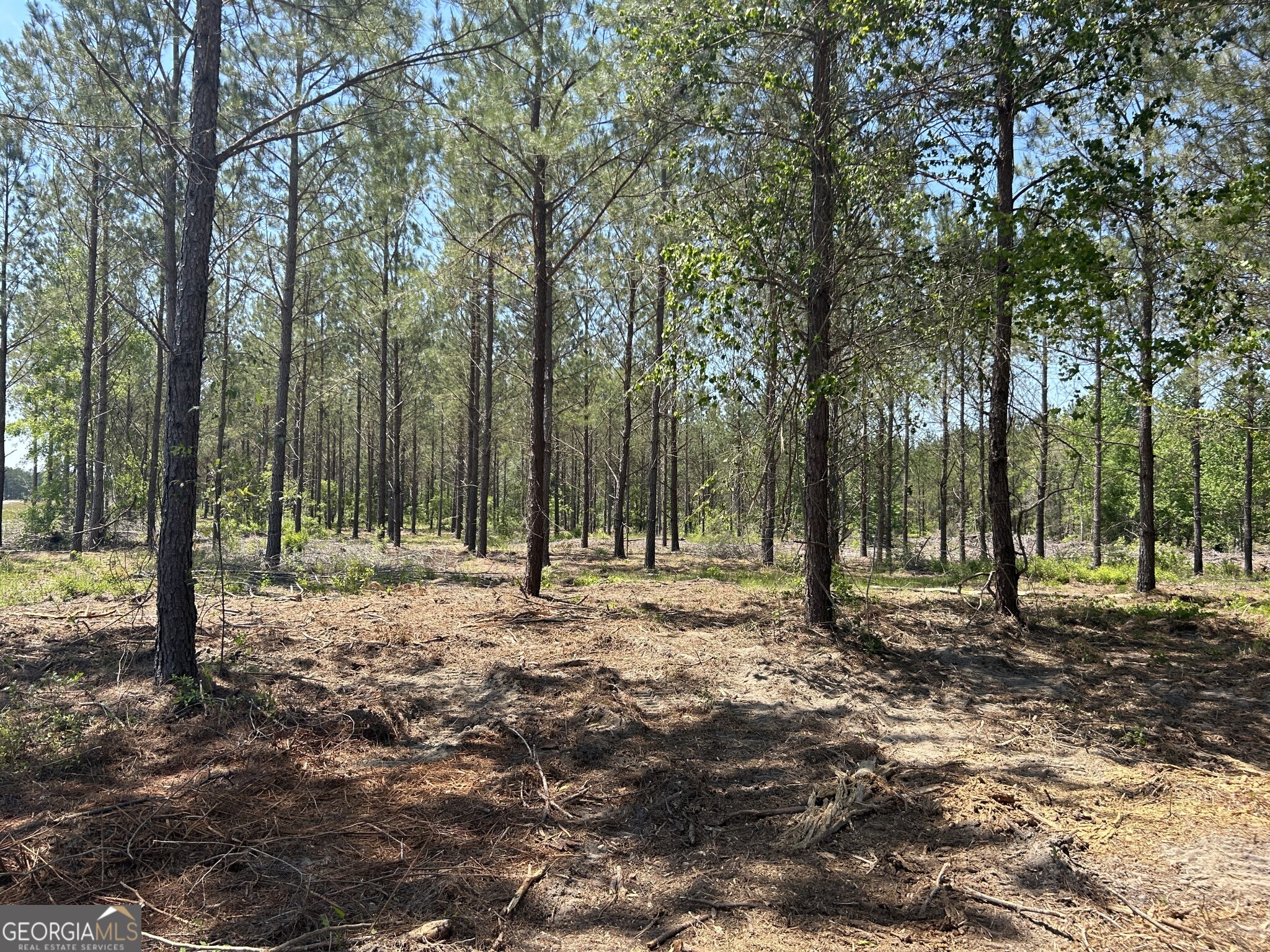 0 Dewey Thomas Road Dexter GA 31019