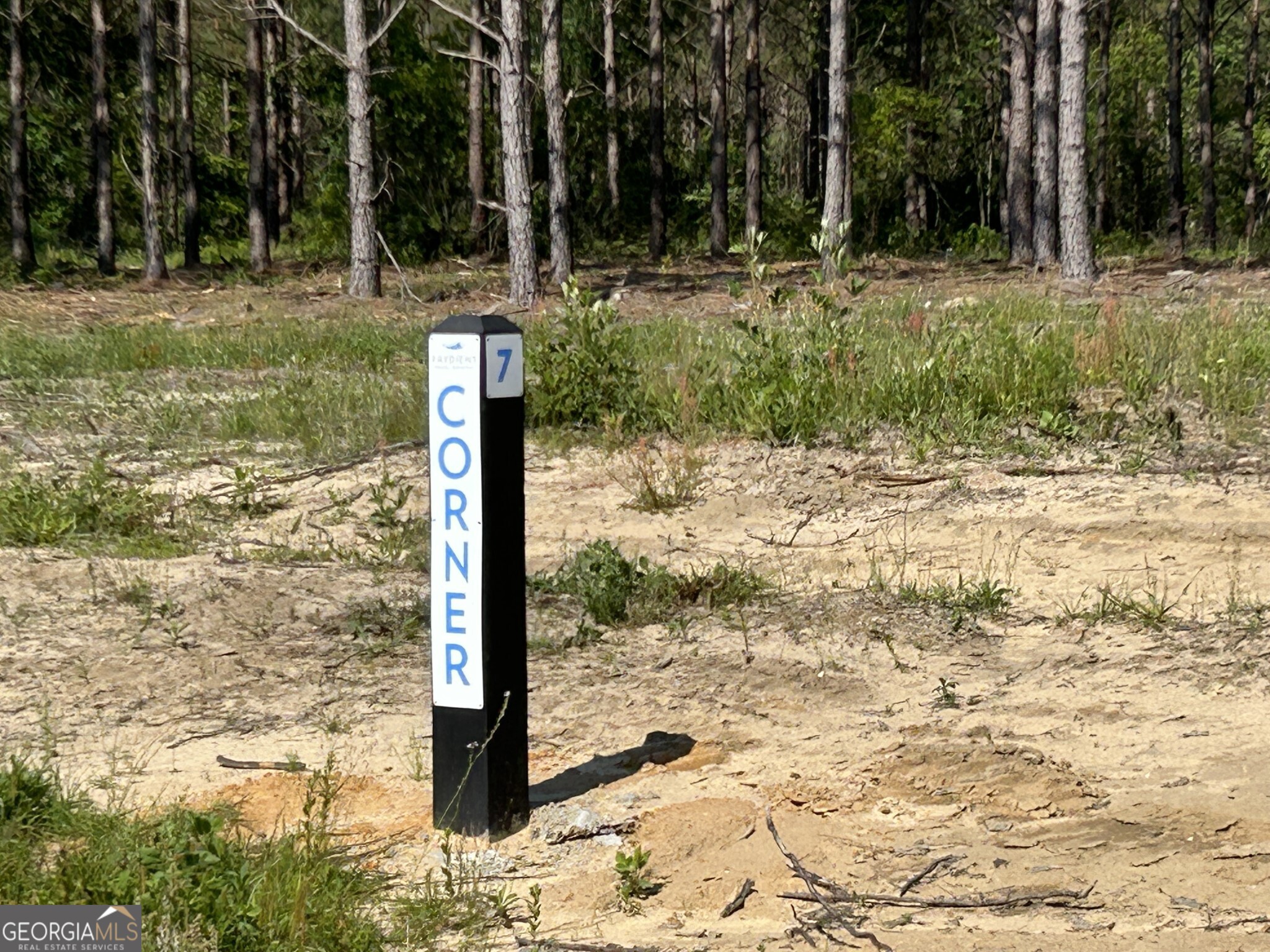 0 Dewey Thomas Road Dexter GA 31019