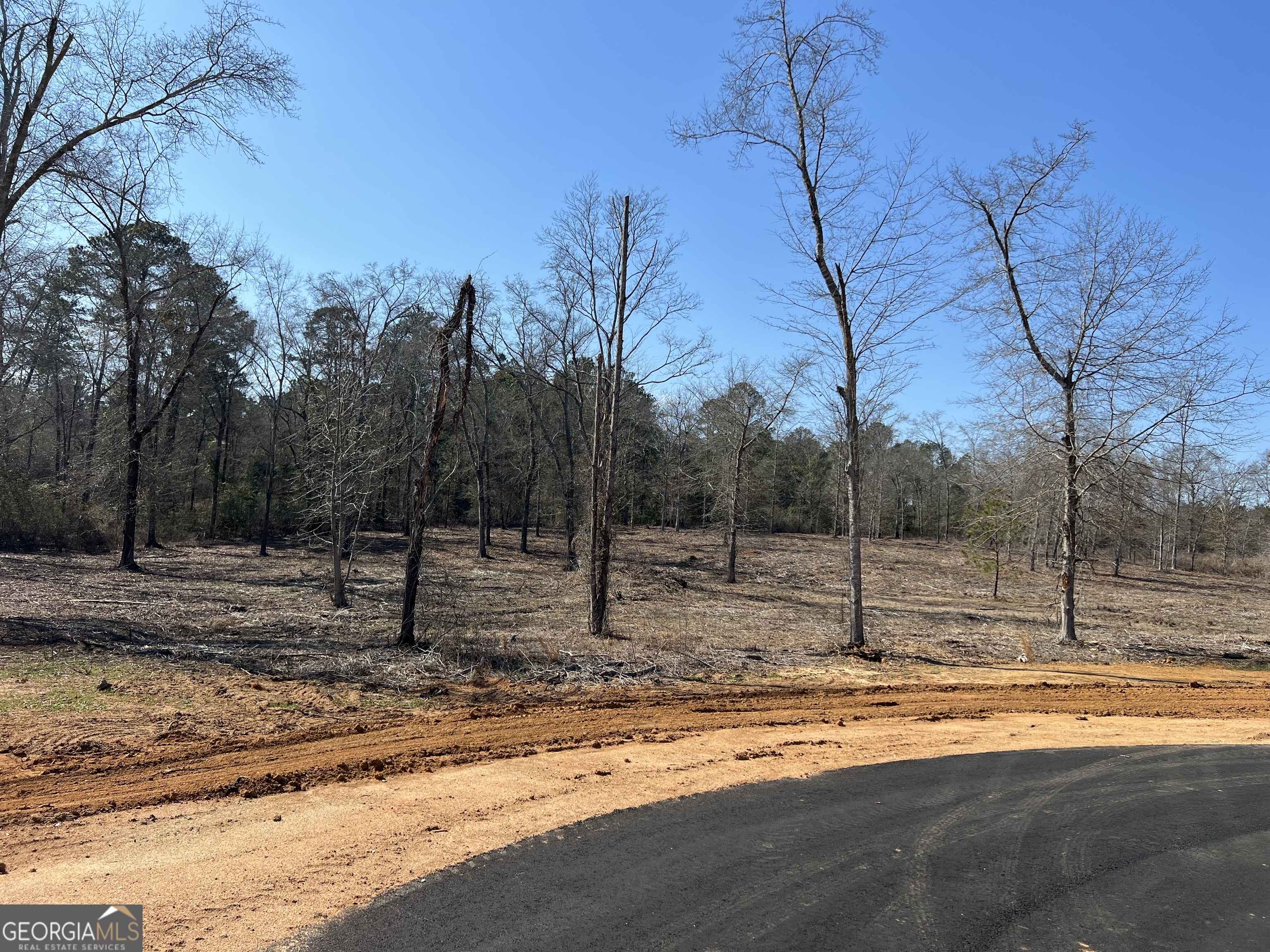 0 Holly Ridge Lot 4 Dublin GA 31021