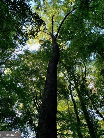Lot 7 Highpoint Ridge Road Ellijay GA 30536
