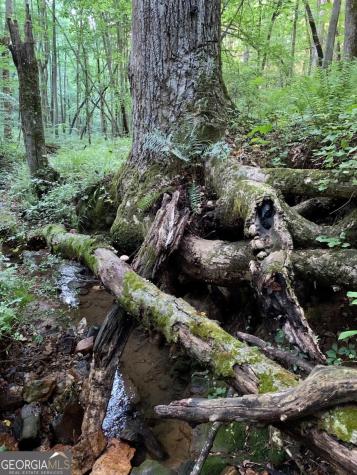 Lot 7 Highpoint Ridge Road Ellijay GA 30536