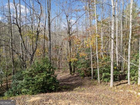 Lot 7 Highpoint Ridge Road Ellijay GA 30536