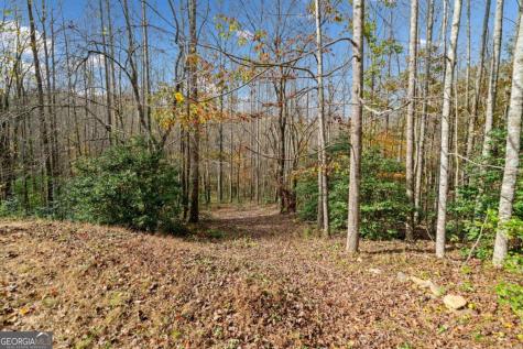 Lot 7 Highpoint Ridge Road Ellijay GA 30536