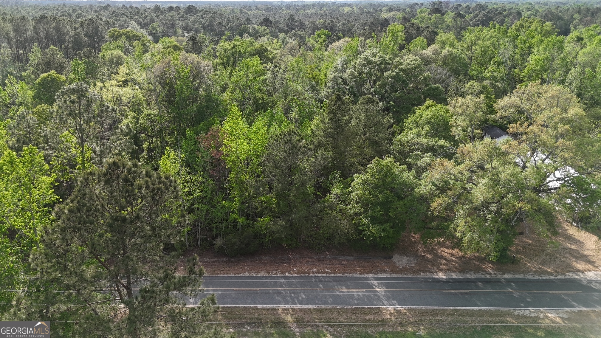 Tract 1 Spring Branch Road Baxley GA 31513
