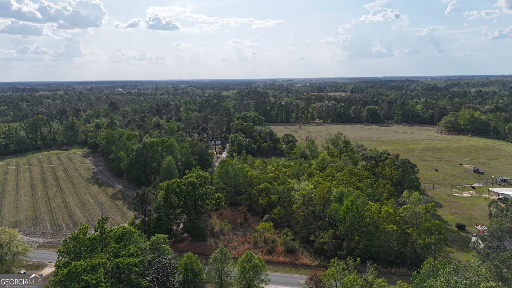 Tract 1 Spring Branch Road Baxley GA 31513
