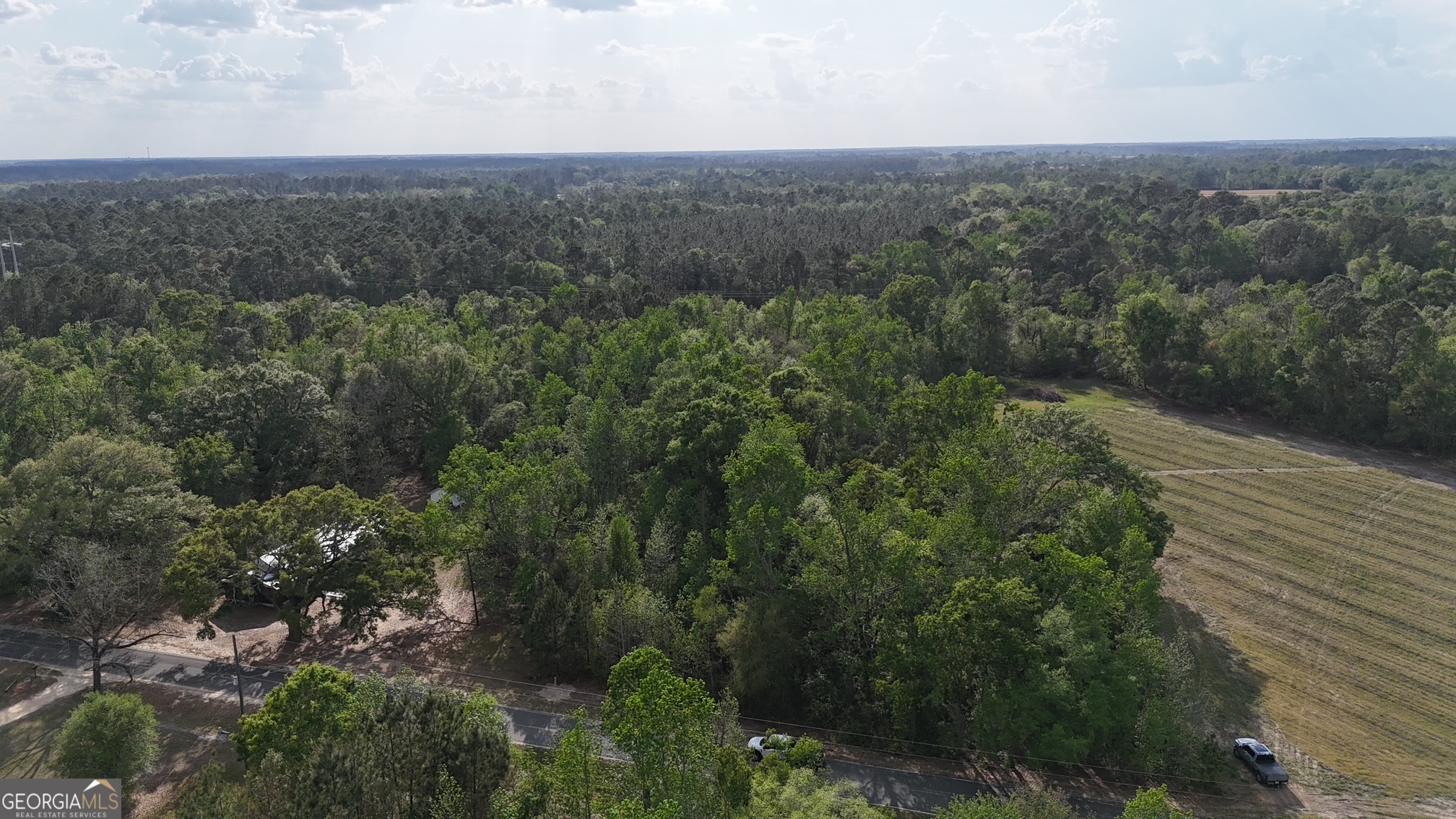 Tract 1 Spring Branch Road Baxley GA 31513
