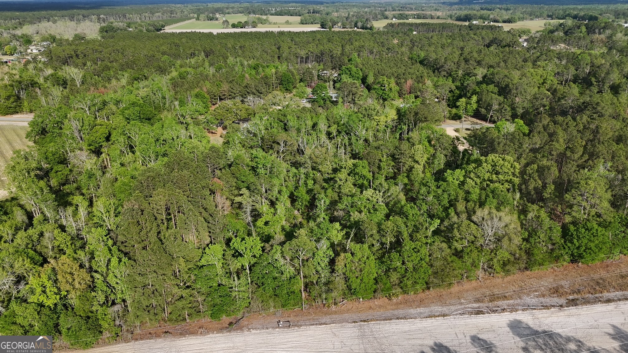 Tract 1 Spring Branch Road Baxley GA 31513