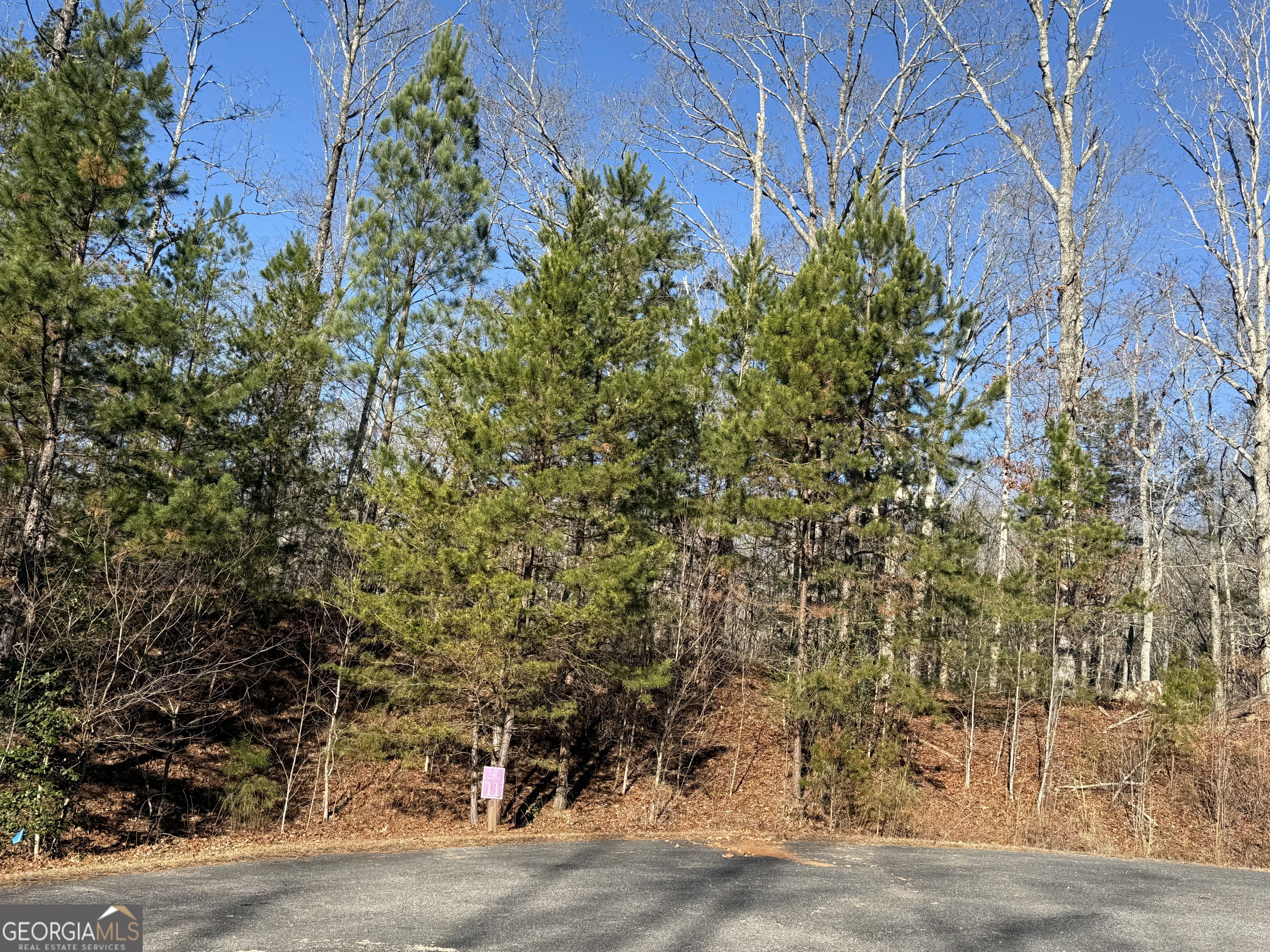 426 Rockhouse Crossing Demorest GA 30535