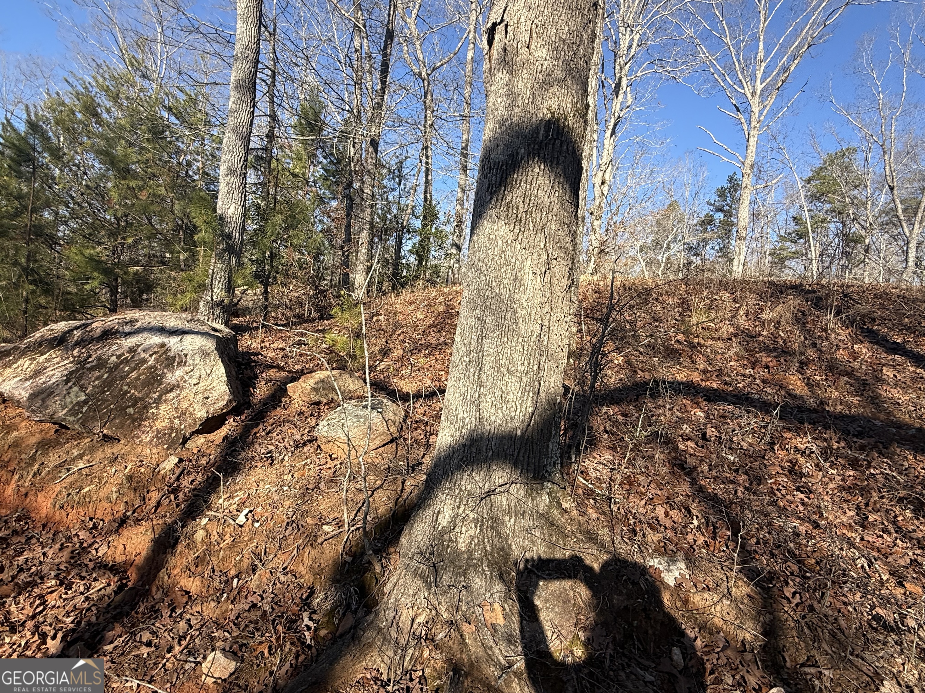 426 Rockhouse Crossing Demorest GA 30535