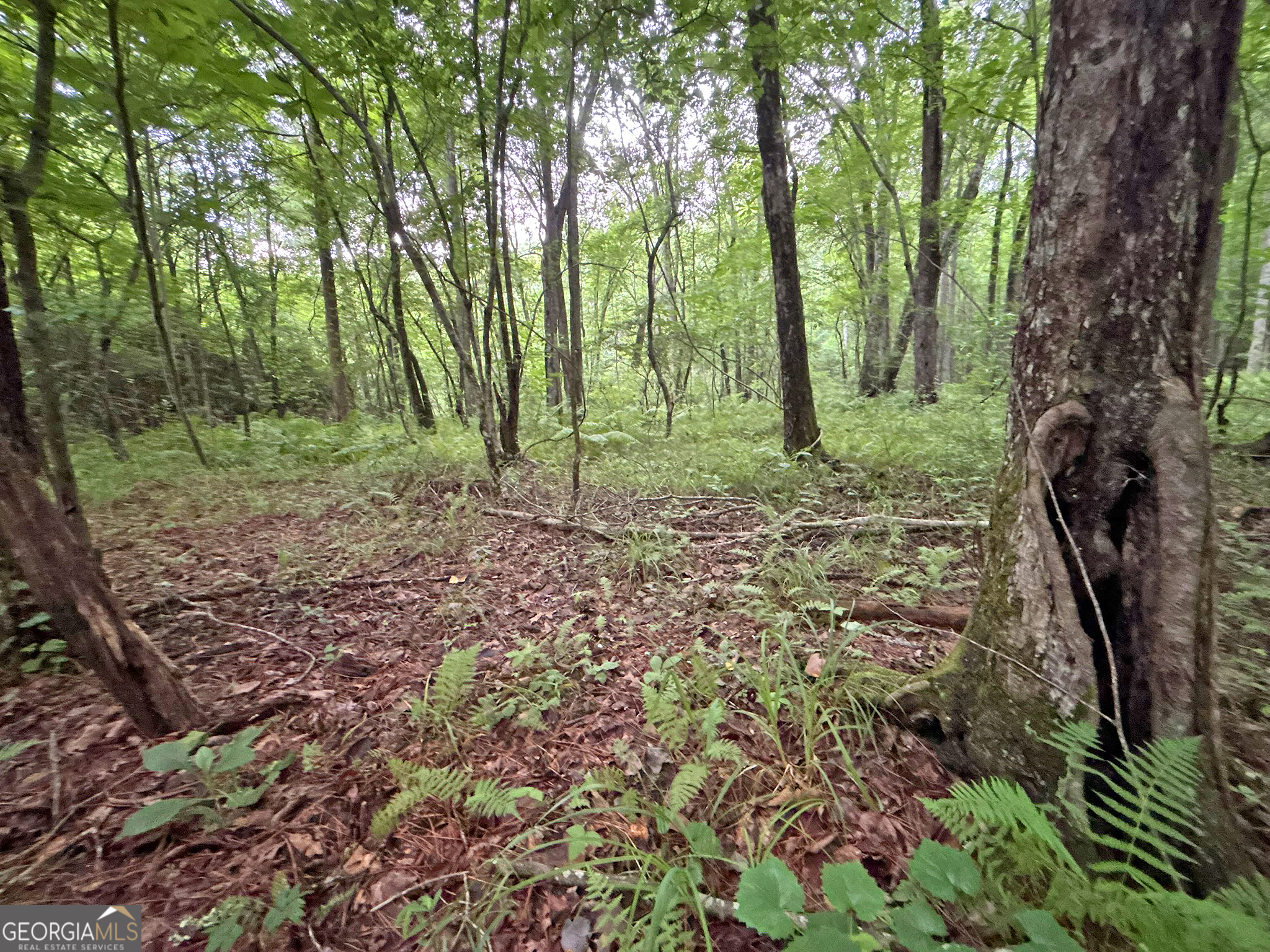 10AC Yonder Way Talking Rock GA 30175