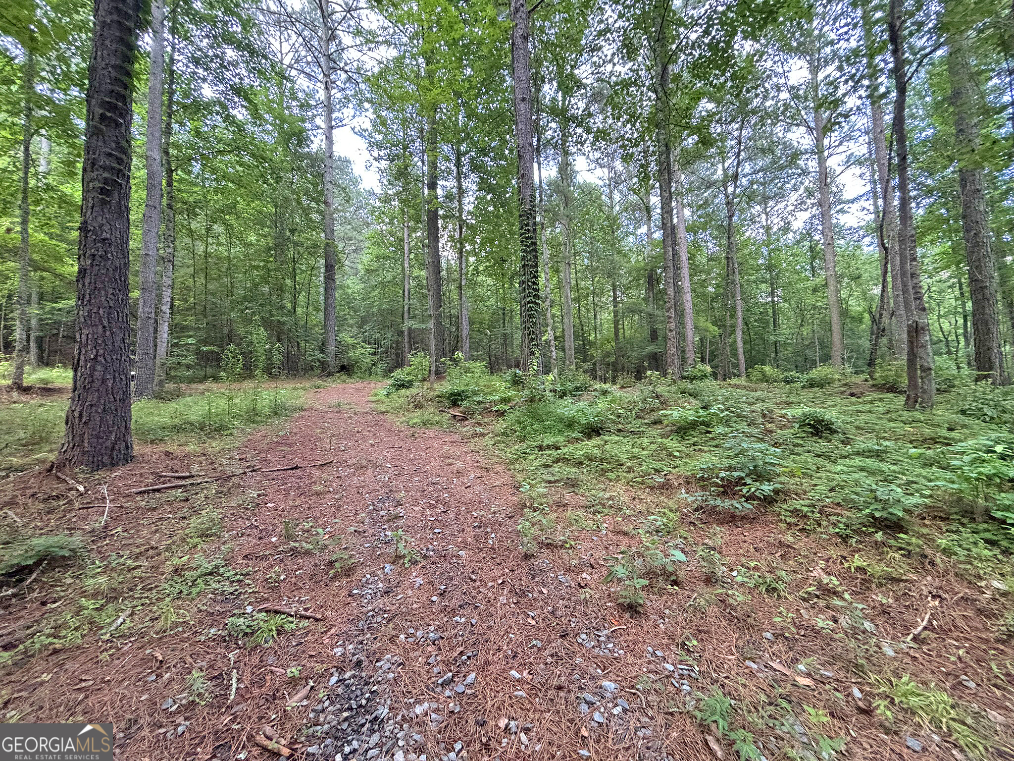 10AC Yonder Way Talking Rock GA 30175