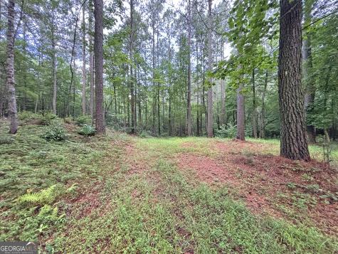 10AC Yonder Way Talking Rock GA 30175