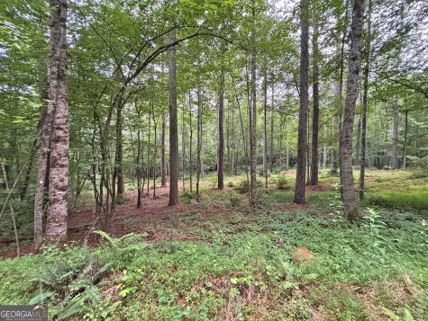 10AC Yonder Way Talking Rock GA 30175