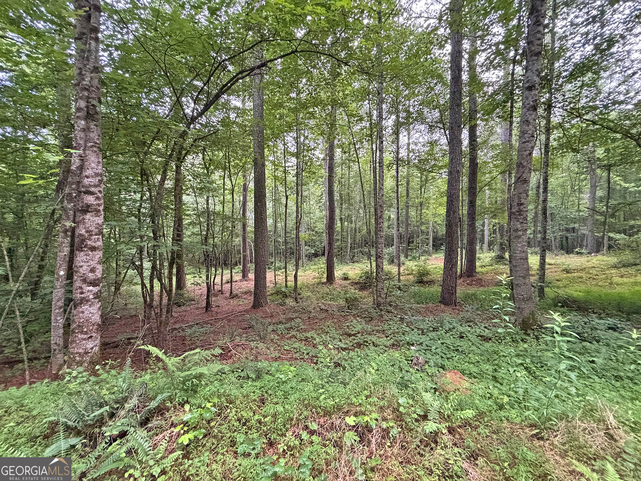10AC Yonder Way Talking Rock GA 30175