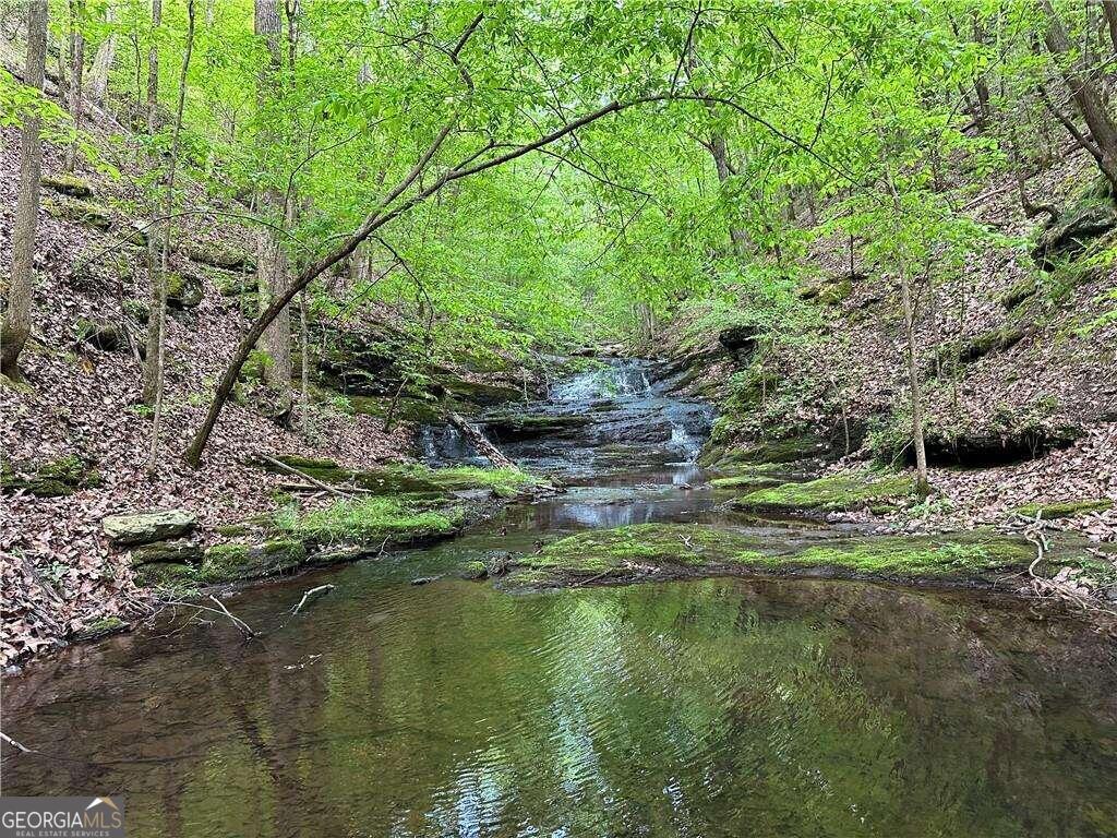 0 Paris Mountain Road Rockmart GA 30153