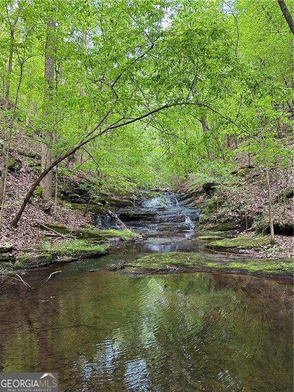 0 Paris Mountain Road Rockmart GA 30153