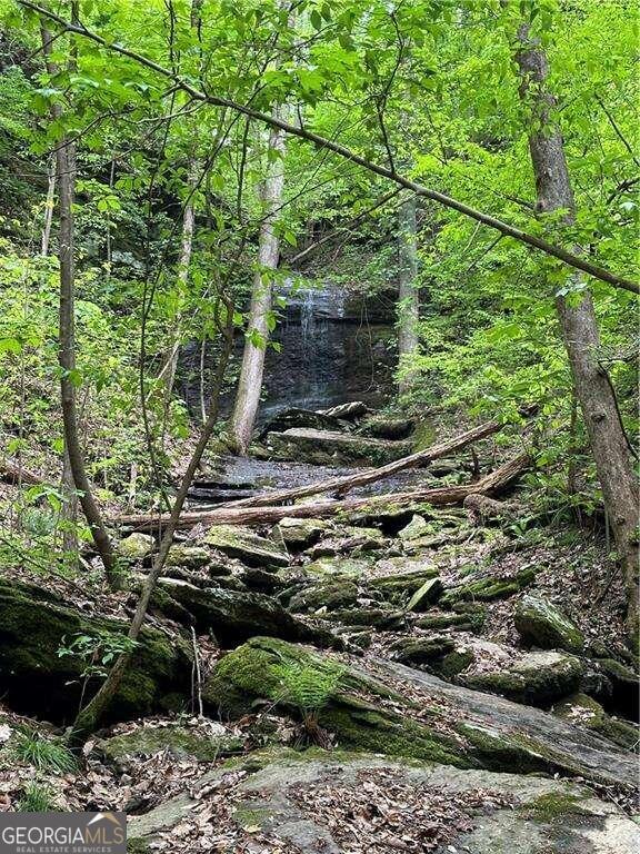 0 Paris Mountain Road Rockmart GA 30153
