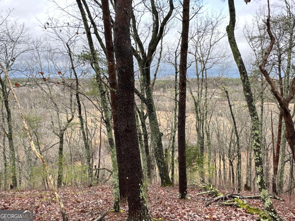 0 Paris Mountain Road Rockmart GA 30153