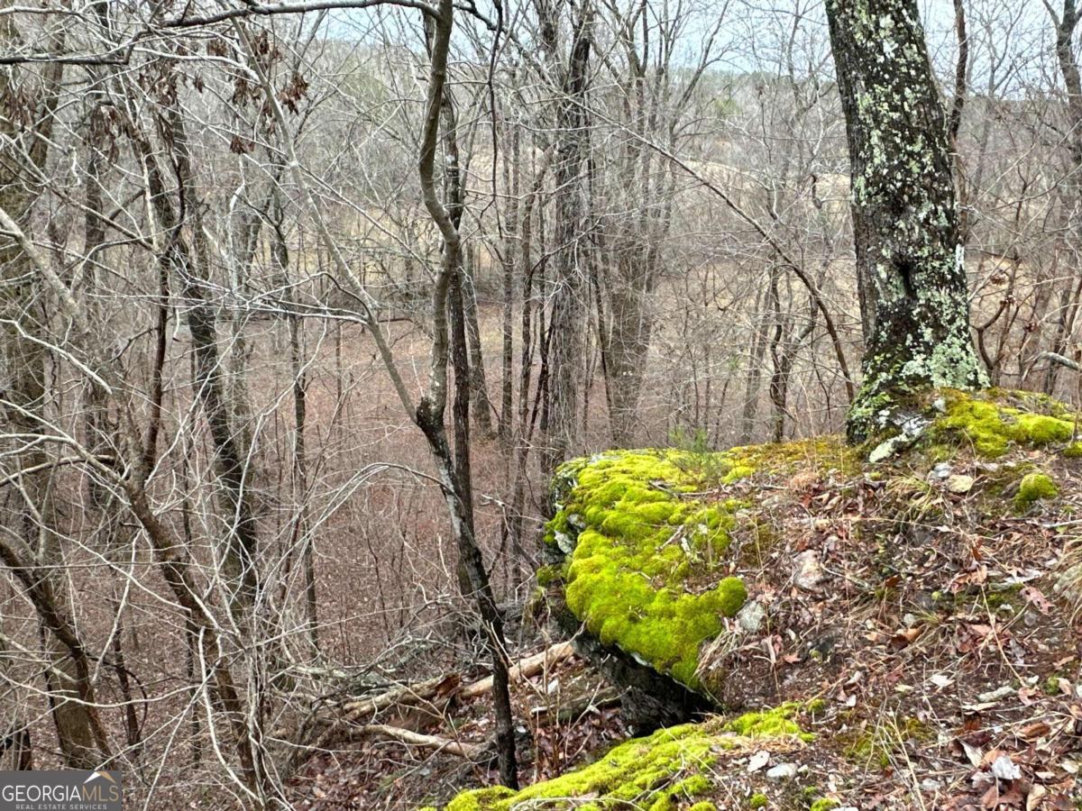 0 Paris Mountain Road Rockmart GA 30153