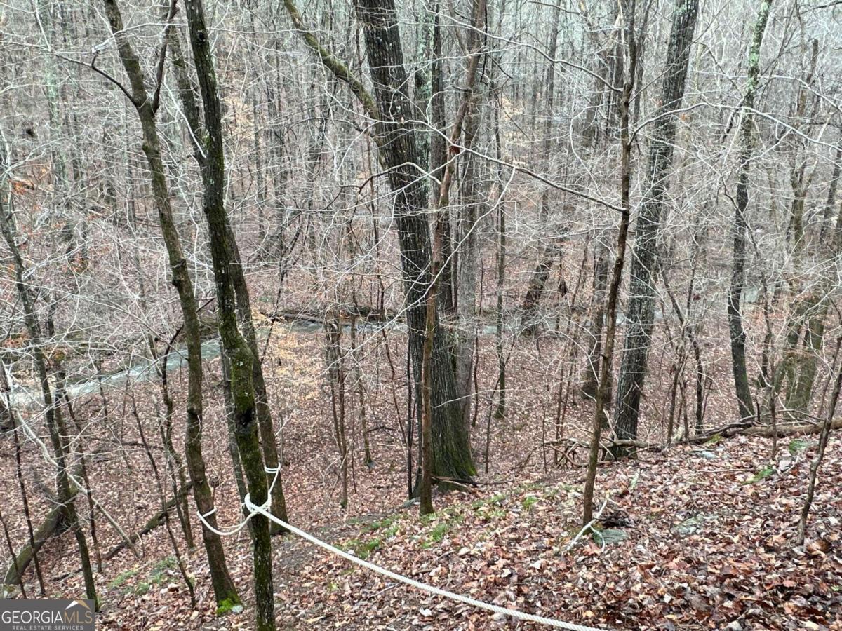 0 Paris Mountain Road Rockmart GA 30153