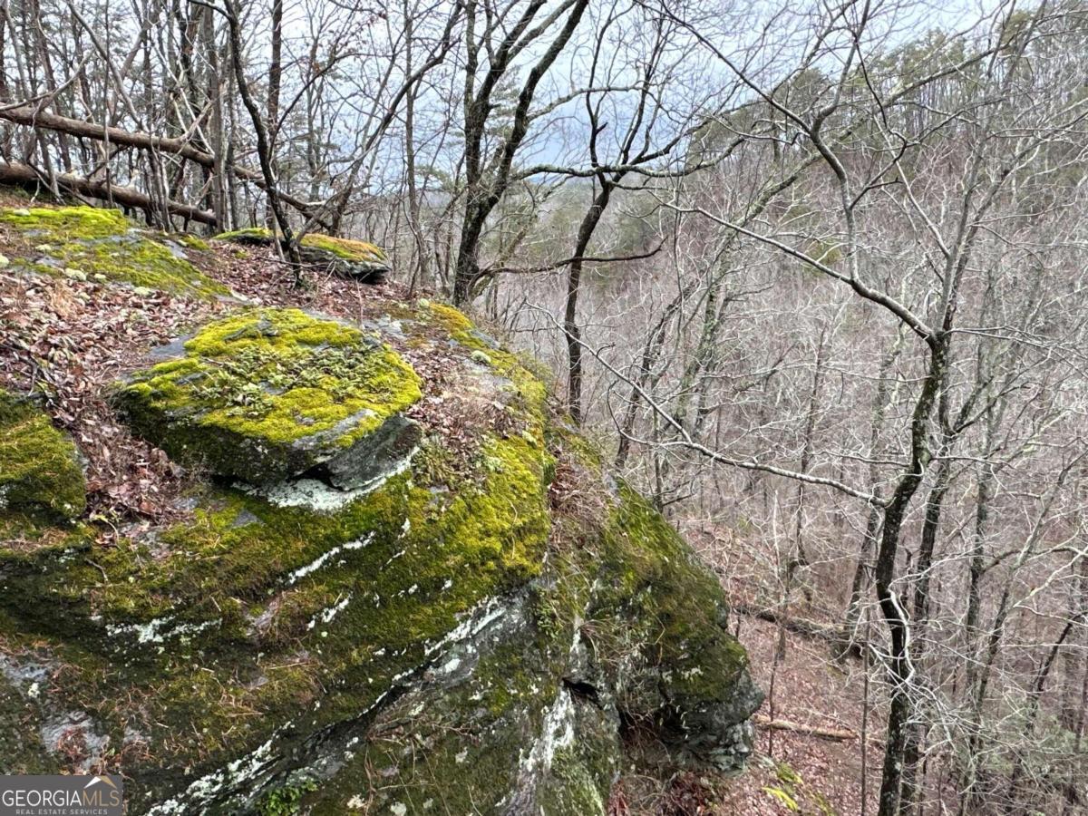 0 Paris Mountain Road Rockmart GA 30153