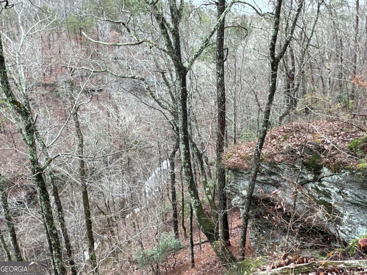 0 Paris Mountain Road Rockmart GA 30153