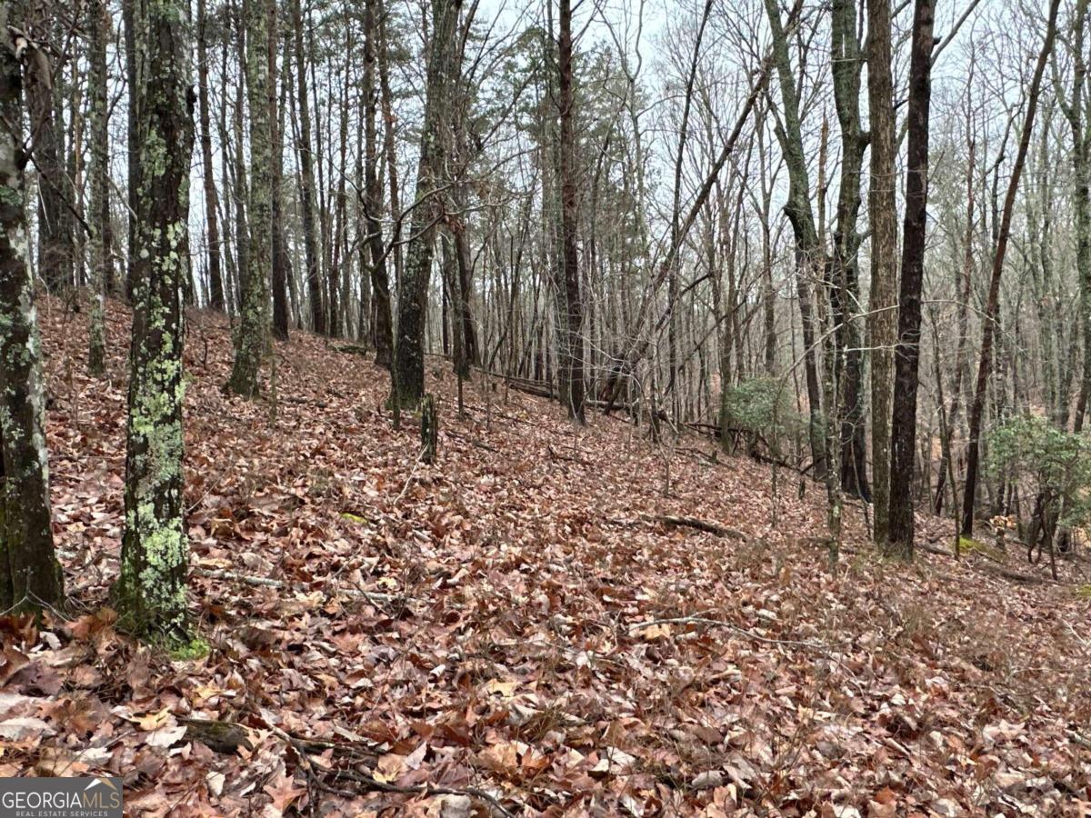 0 Paris Mountain Road Rockmart GA 30153