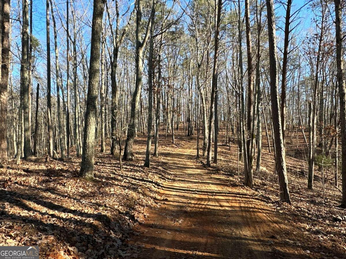 0 Paris Mountain Road Rockmart GA 30153