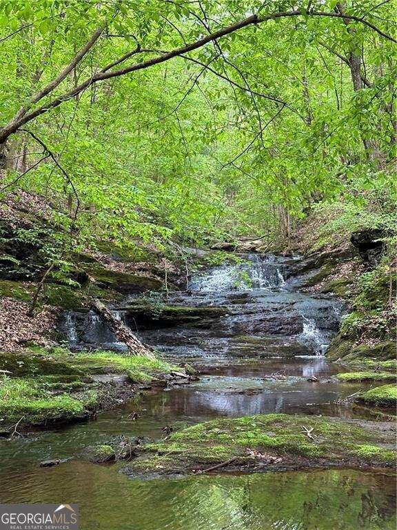 0 Paris Mountain Road Rockmart GA 30153