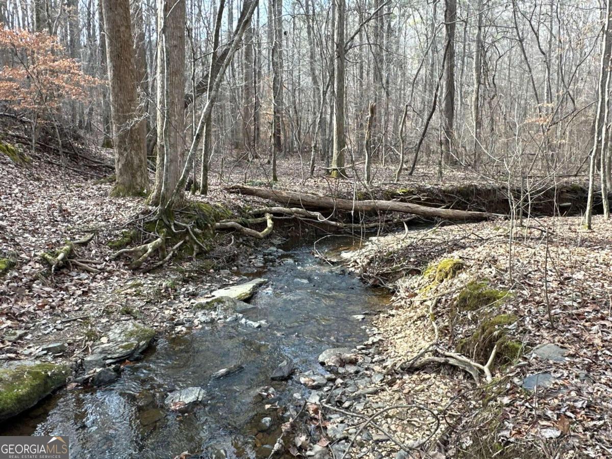 0 Paris Mountain Road Rockmart GA 30153