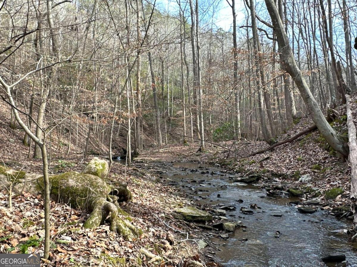0 Paris Mountain Road Rockmart GA 30153