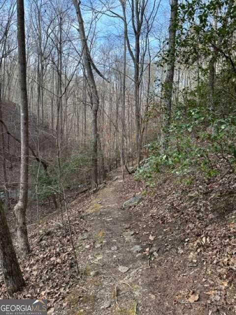 0 Paris Mountain Road Rockmart GA 30153
