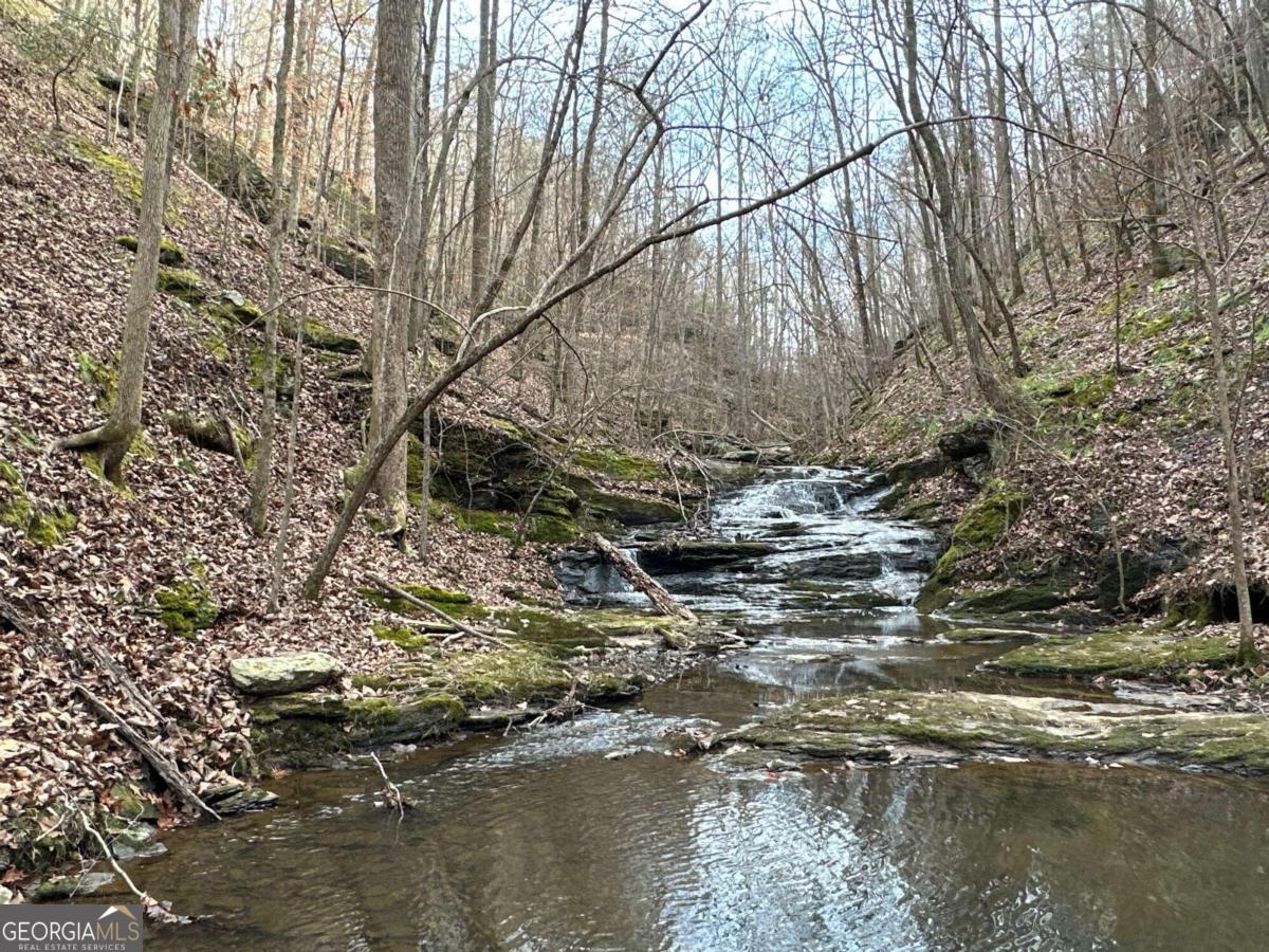 0 Paris Mountain Road Rockmart GA 30153