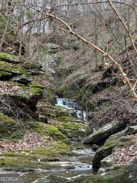0 Paris Mountain Road Rockmart GA 30153