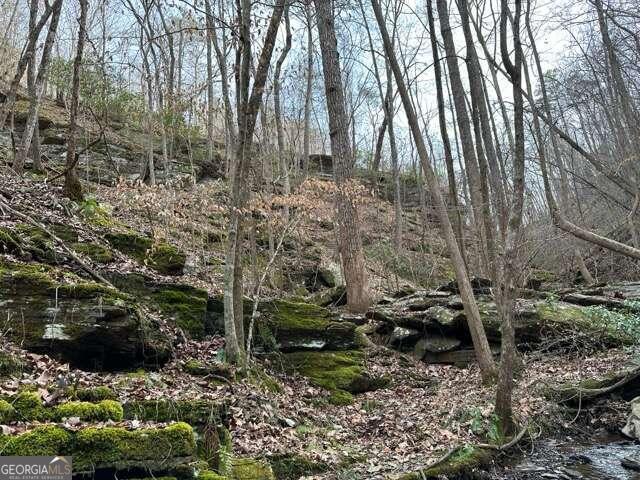 0 Paris Mountain Road Rockmart GA 30153
