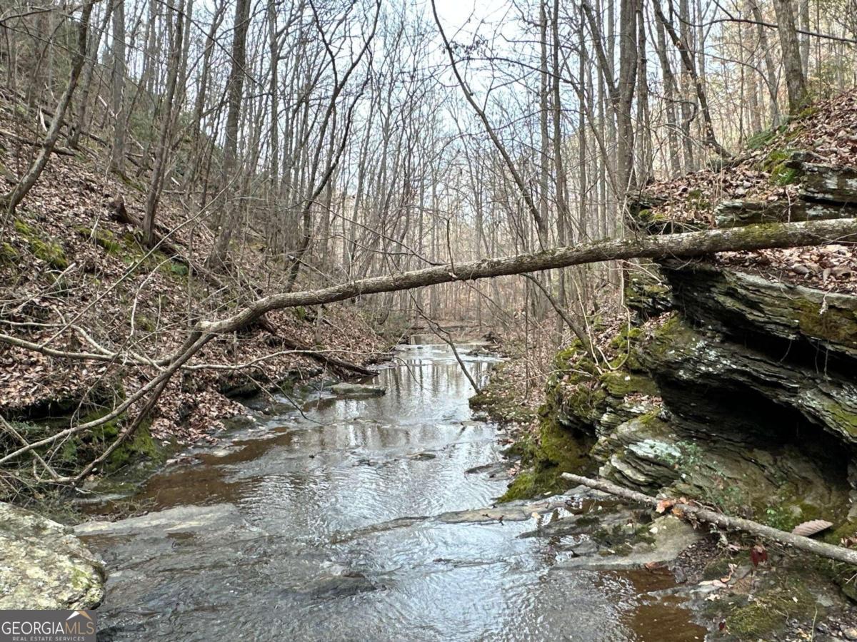 0 Paris Mountain Road Rockmart GA 30153
