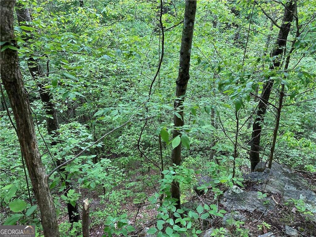 0 Paris Mountain Road Rockmart GA 30153