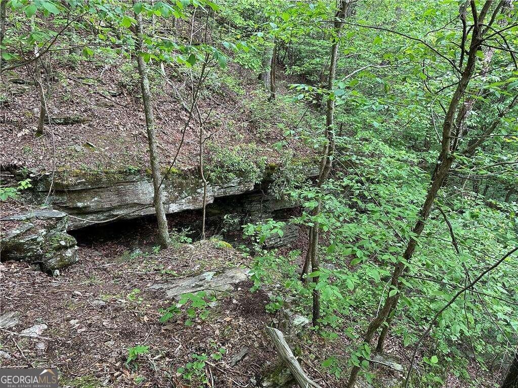 0 Paris Mountain Road Rockmart GA 30153