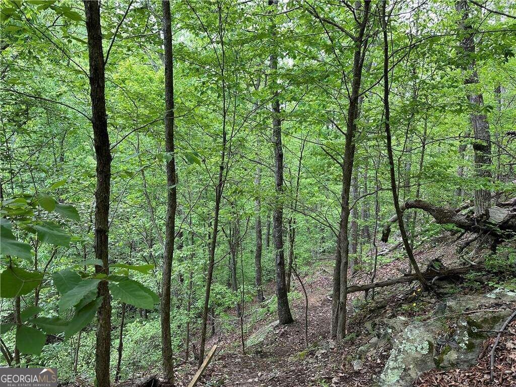 0 Paris Mountain Road Rockmart GA 30153