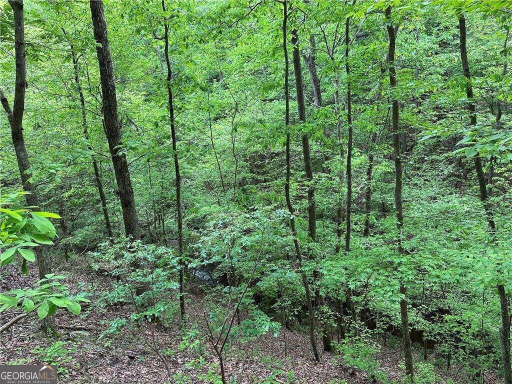 0 Paris Mountain Road Rockmart GA 30153