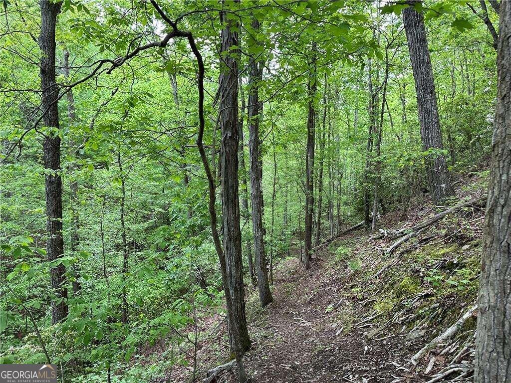 0 Paris Mountain Road Rockmart GA 30153