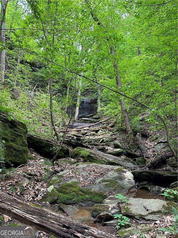 0 Paris Mountain Road Rockmart GA 30153