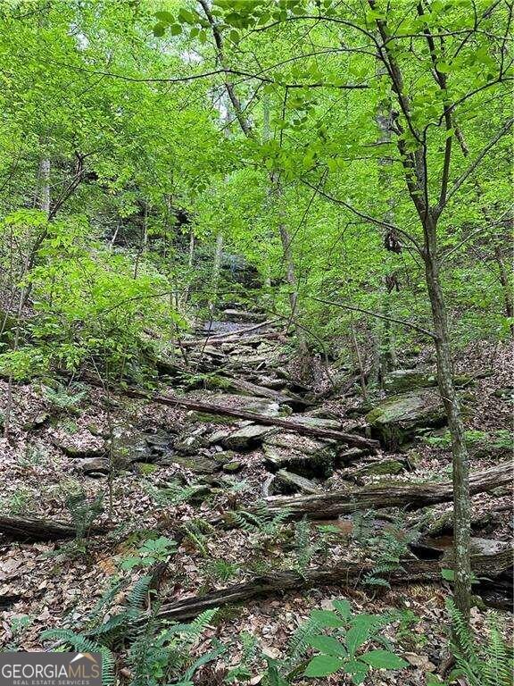0 Paris Mountain Road Rockmart GA 30153