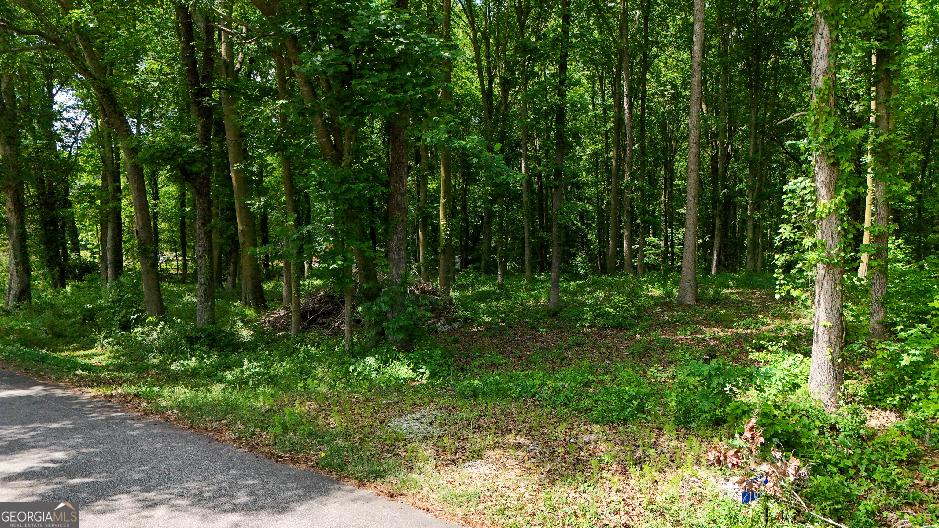 186 Doyle Road Bowersville GA 30516