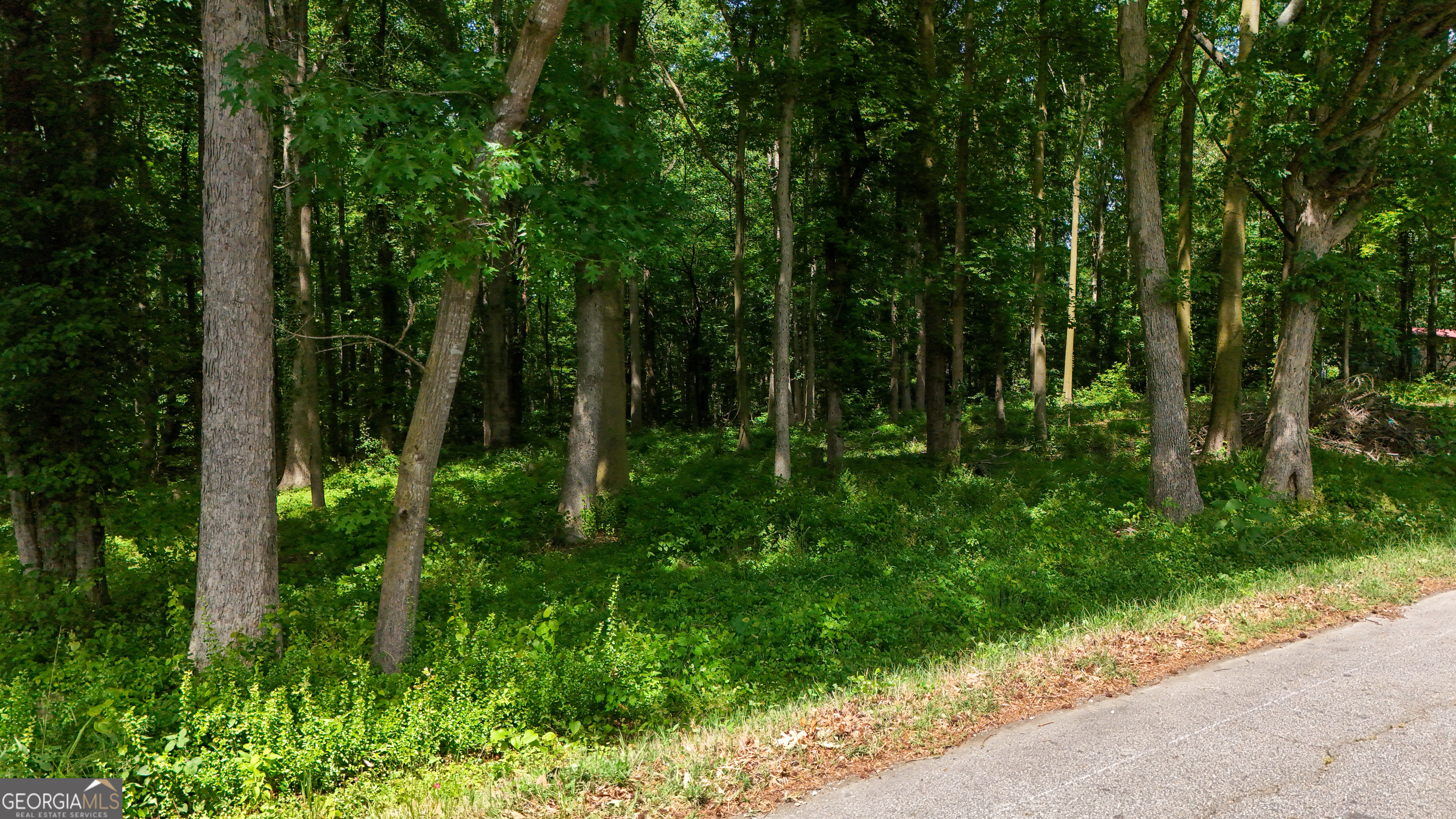 186 Doyle Road Bowersville GA 30516